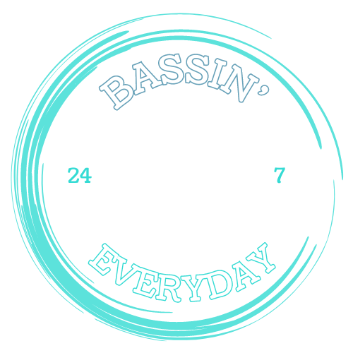 BassinEveryDay Logo